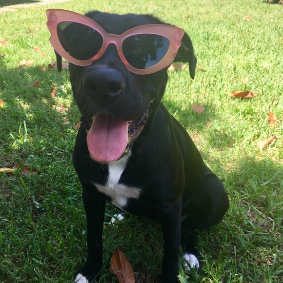 Meet your Posher, Alix - Picture 6 of 9